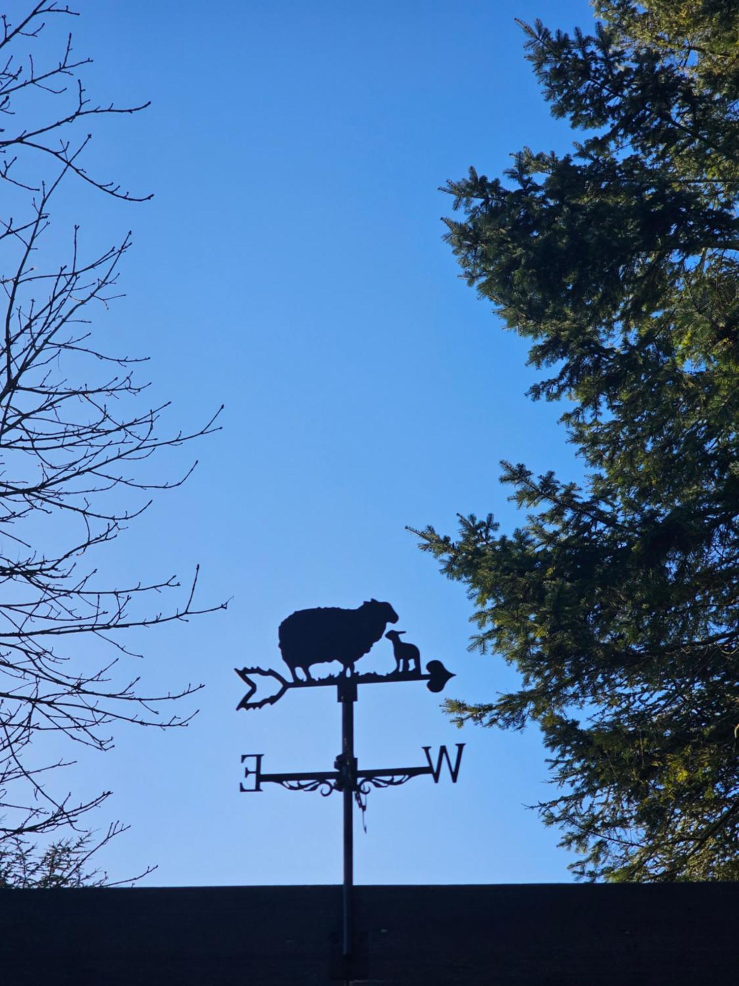 Lodge Rectory Roost